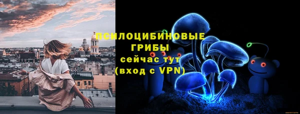 винт Алексин