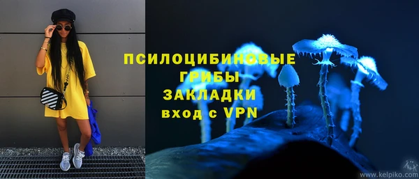 бошки Алексеевка
