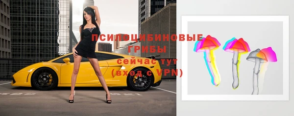 винт Алексин