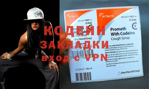 шишки Алзамай