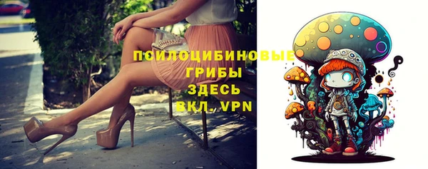 винт Алексин
