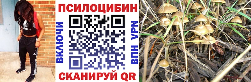 Псилоцибиновые грибы MAGIC MUSHROOMS  Саров 